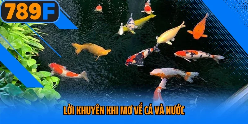 Lời khuyên khi mơ về cá và nước