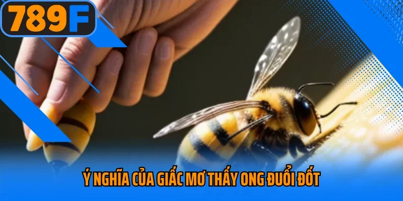 Ý nghĩa của giấc mơ thấy ong đuổi đốt